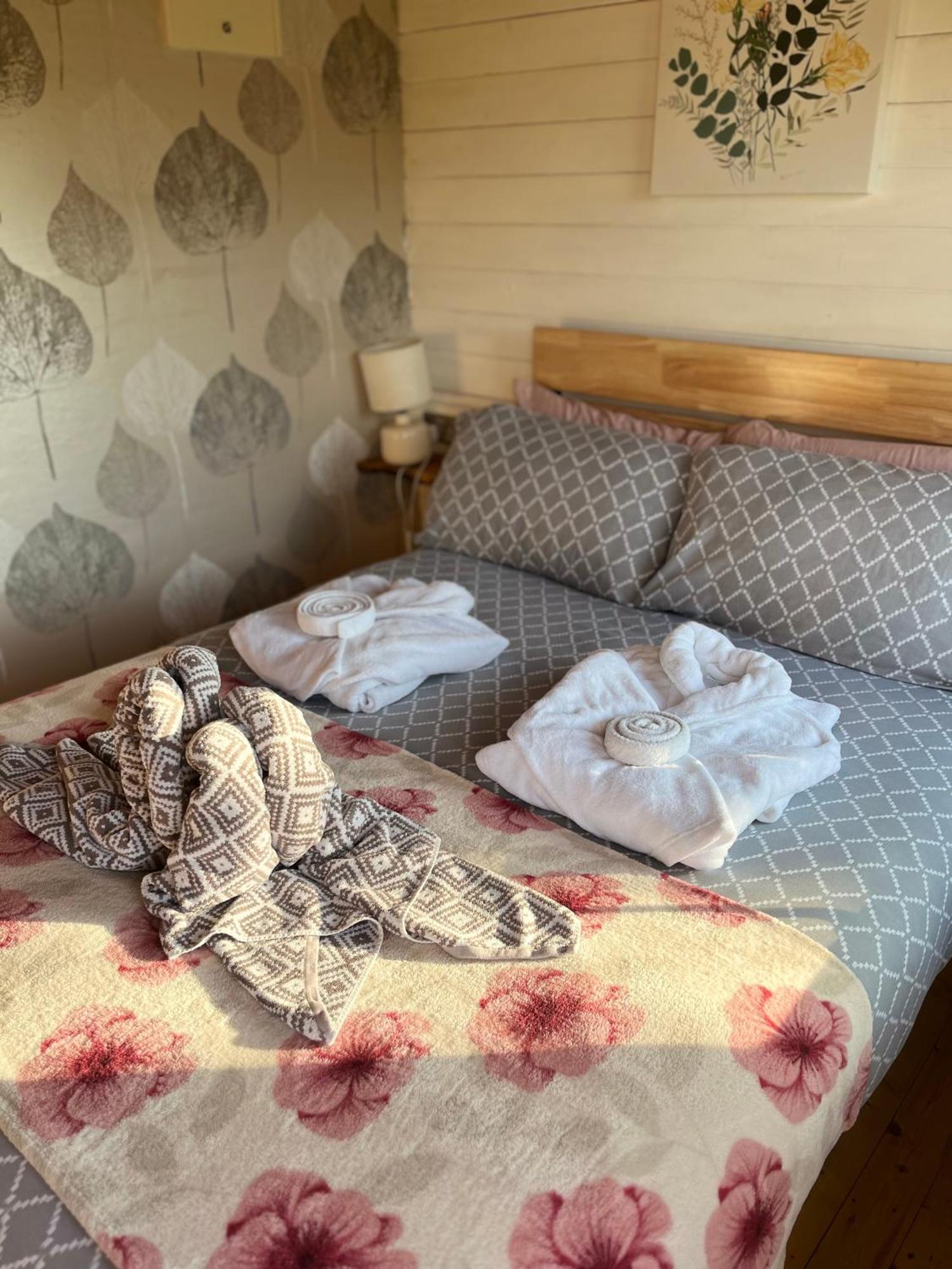 Ivy Rose Cabin No Hot Tub Bude Buitenkant foto